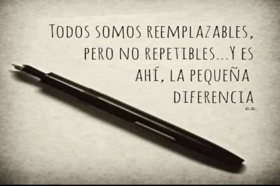 REEMPLAZABLES PERO NO REPETIBLES