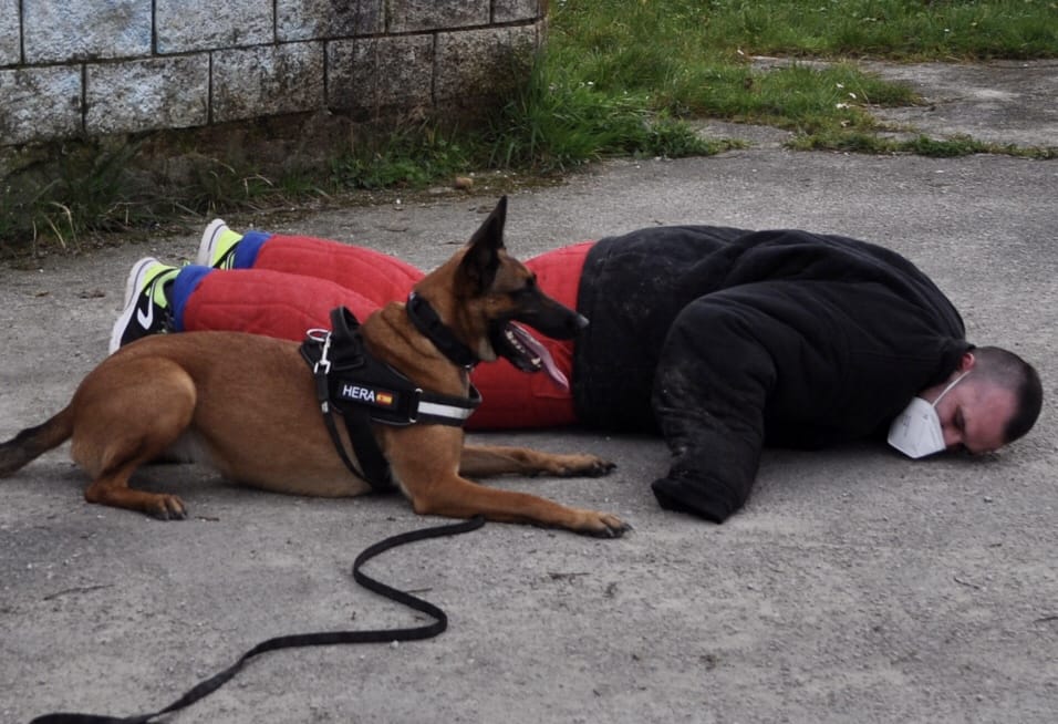(SEAD0512) INSTRUCCIÓN CANINA EN OPERACIONES DE SEGURIDAD Y PROTECCIÓN CIVI